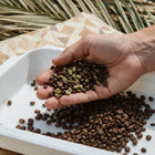 O que é microlote de café e por que ele é superior